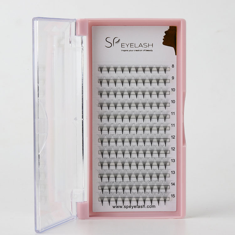 10d D Curl Promade hayranları