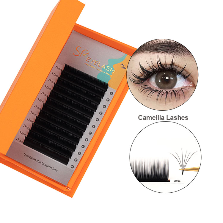 Camellia Easy Fanning hacmi kirpikleri